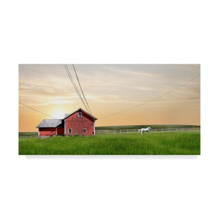 Trademark Fine Art James Mcloughlin 'Farm And Country Iv' Canvas Art, 10x19 WAG08068-C1019GG